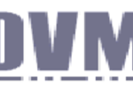 Digital and Voice Media logo