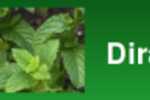 dirac_logo
