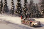 DiRT 4 - vignette