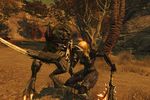 Divinity 2 Ego Draconis - Image 18