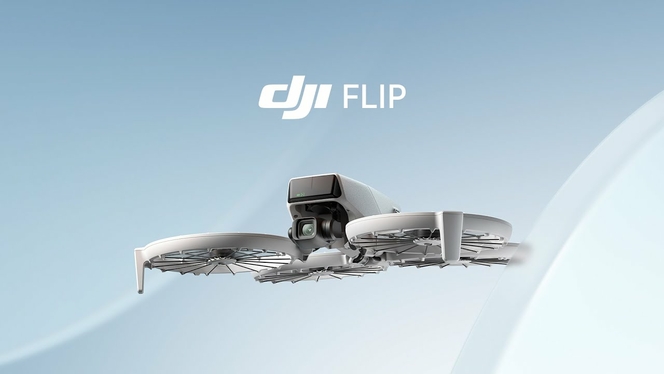DJI Flip