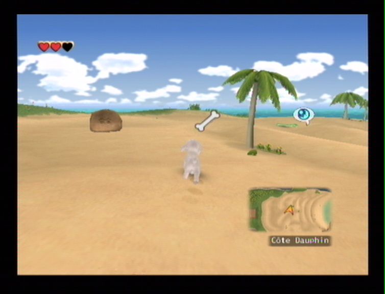 Dogz 2 Wii (21)
