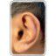 Dolce Ear Training logo