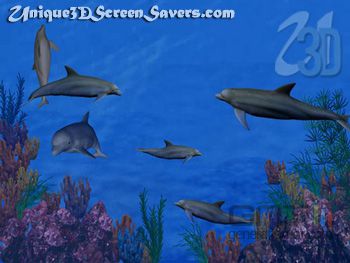Dolphin Reef Screensaver