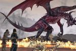 Dragon Age 2 - Image 11