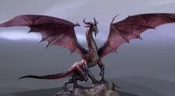 Dragon Age 2 - Image 6