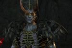 Dragon Age Origins The Awakening - Image 22