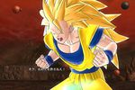 Dragon Ball Raging Blast 2 - 9
