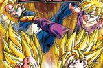 Dragon Ball Z Tenkaichi Tag Team - pochette