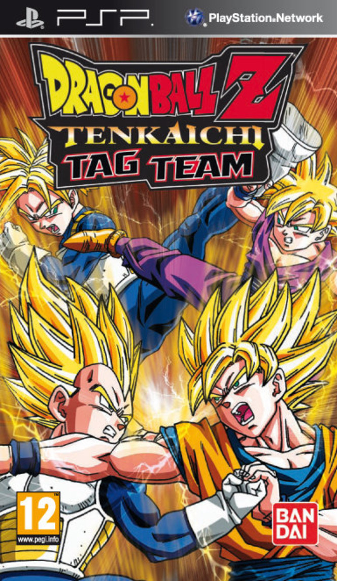 Dragon Ball Z Tenkaichi Tag Team - pochette