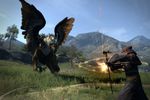 Dragon Dogma - 2
