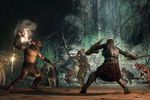Dragon Dogma Online - 7