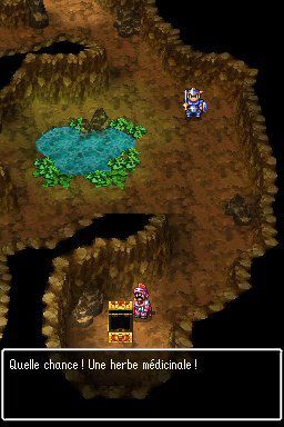 Dragon Quest Ã‰popÃ©e des Ã‰lus   19