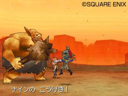 Dragon Quest IX - 17