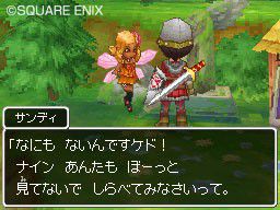 Dragon Quest IX (9)