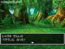 Dragon Quest VI : Realms of Reverie - 11