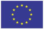 drapeau europeen