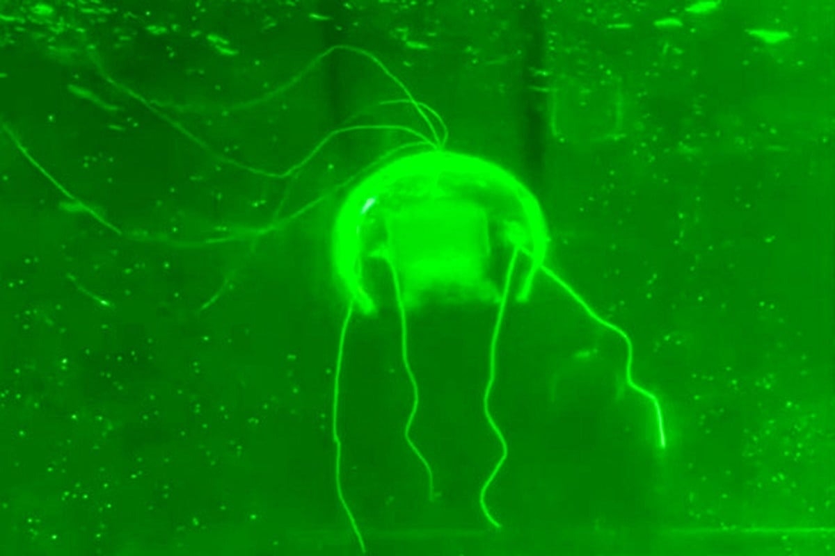 Drone meduse Chine