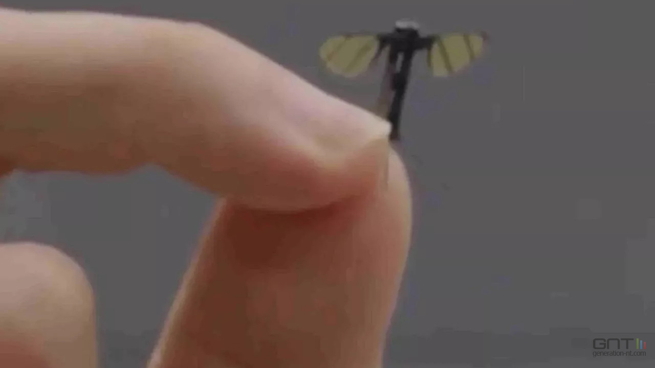 drone-taille-moustique-chine