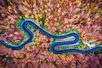 Dronestagram-classement-photos-2016-3