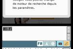 DSi (10)
