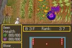 Dungeon Maker DS - Image 2
