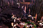 Dungeon Siege 3 - Image 23
