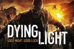 Dying Light - vignette