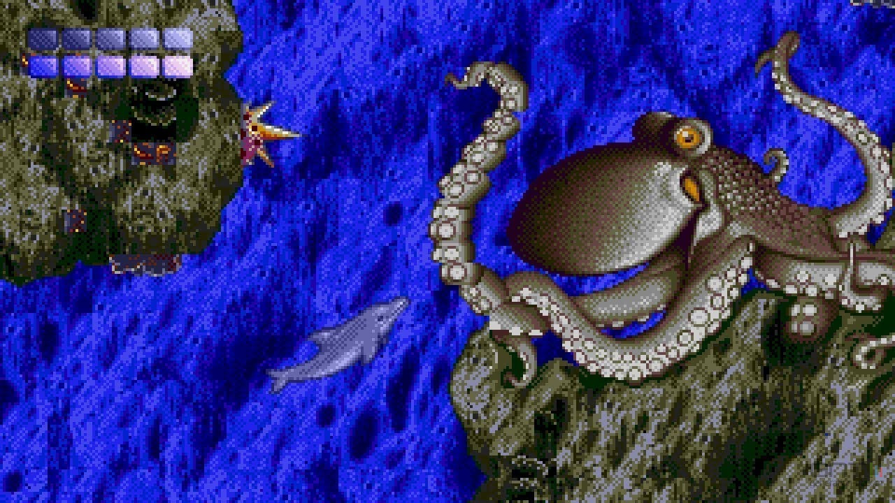Ecco 02