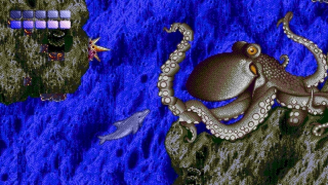 Ecco 02