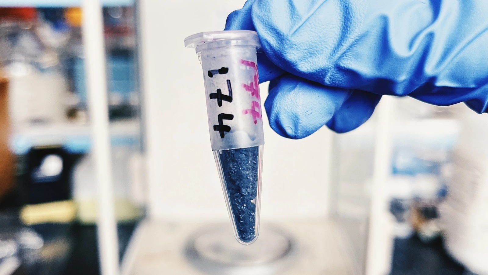 echantillon roche ancienne