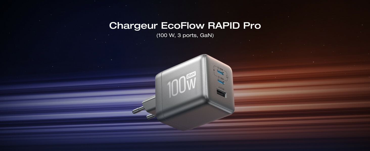 EcoFlow Rapid Pro