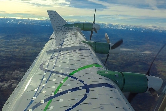 ecopulse