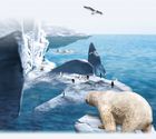 Écran de Veille Arctique