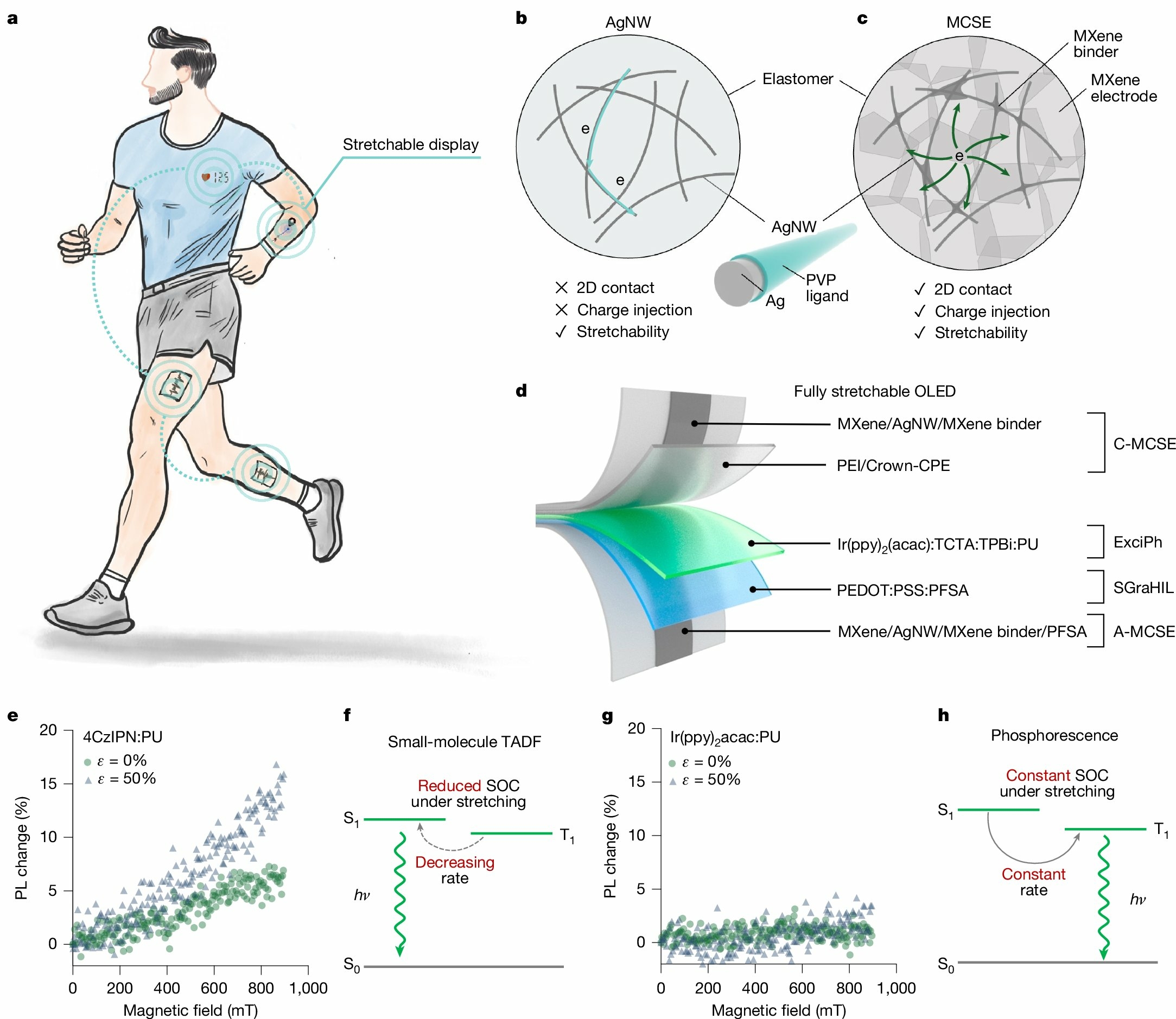 Ecrans OLED &Atilde;&copy;tirables_01