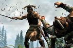 Elder Scrolls Skyrim (8)