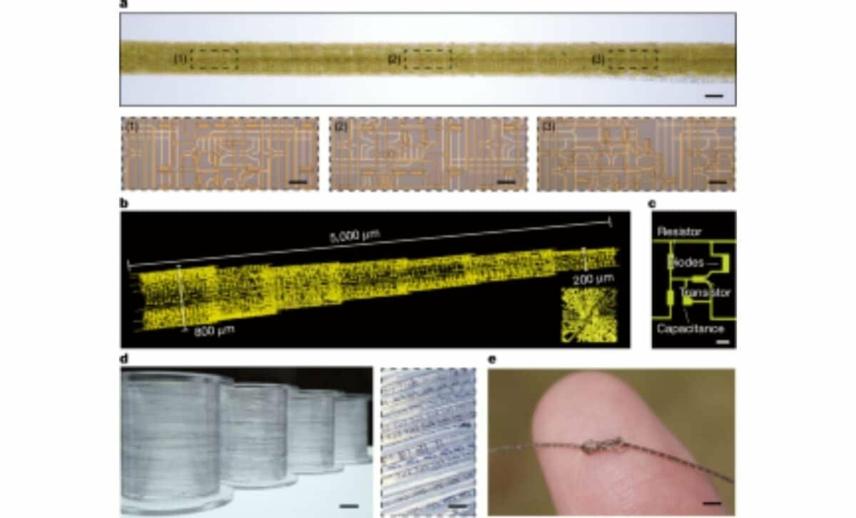 Electronique flexible_02