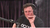 Elon Musk plus que jamais consommateur de drogues, le milliardaire dément