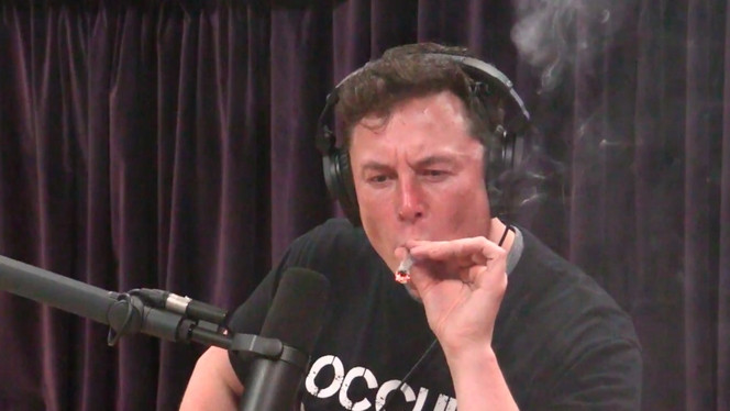 Elon Musk cannabis