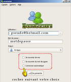 Emesene Portable : un clone de MSN