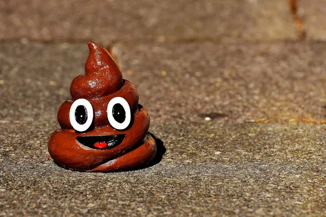 emoji-crotte