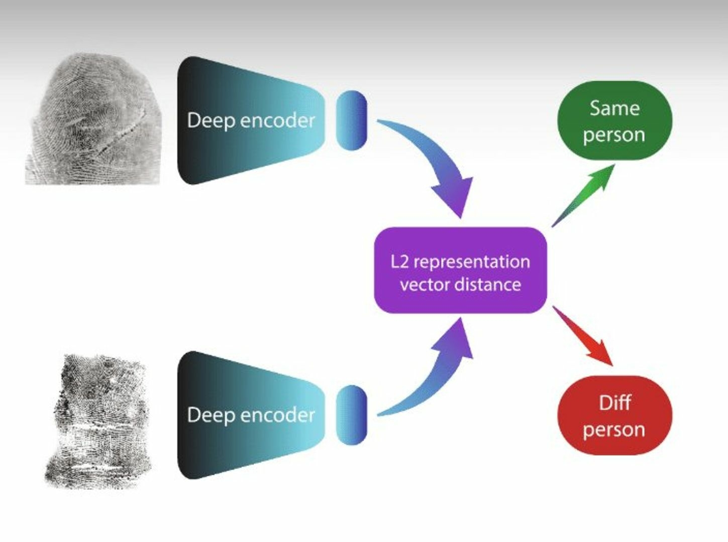 Empreintes digitales_01