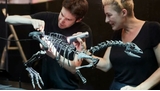 Un nouveau dinosaure de la taille d'un chien : l'énigme du coureur jurassique enfin dévoilée ?