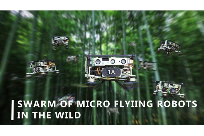 Un essaim de petits drones lâchés en autonomie dans une forêt de bambou…