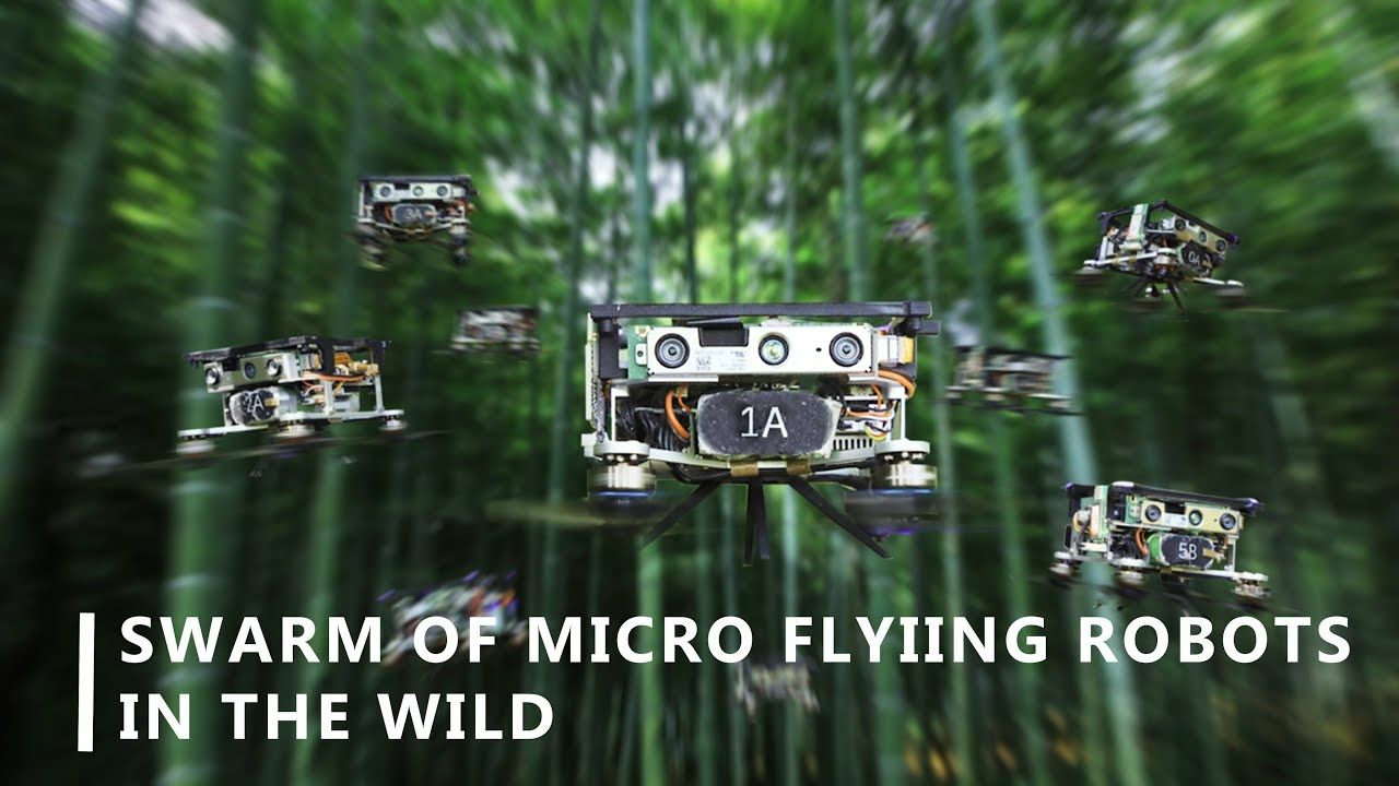 essaim-drones-foret-bambou