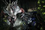 Evolve - vignette