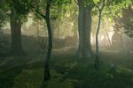 Fable 2 - Image 25