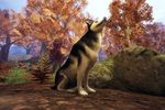 Fable 2 See The Future - Image 4
