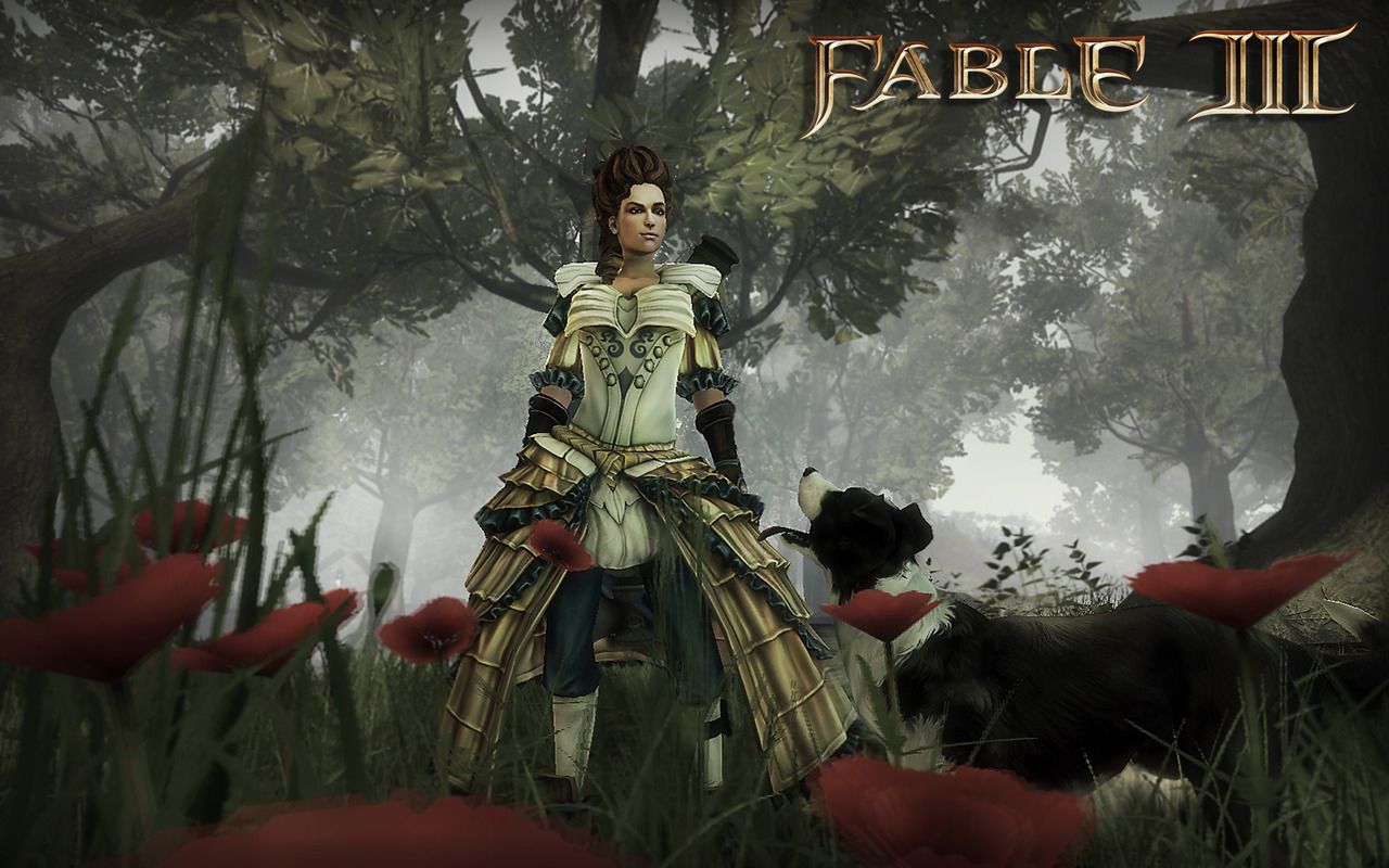 Fable III PC - Image 24