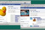 facebook-profil-canard